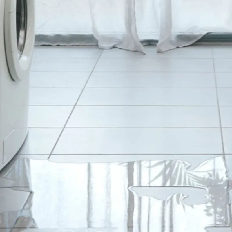 Appliance Leak Cleanup in Stratford, TX