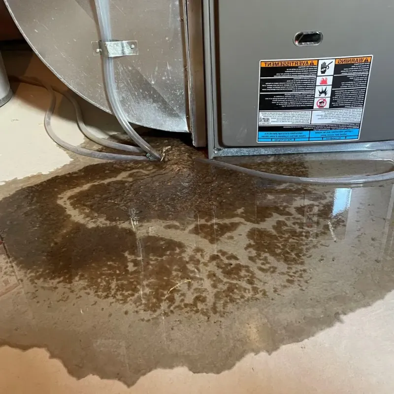 Pipe Burst and Leak Restoration in Stratford, TX