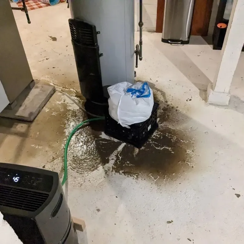 Sewage Backup Cleanup Service in Stratford, TX